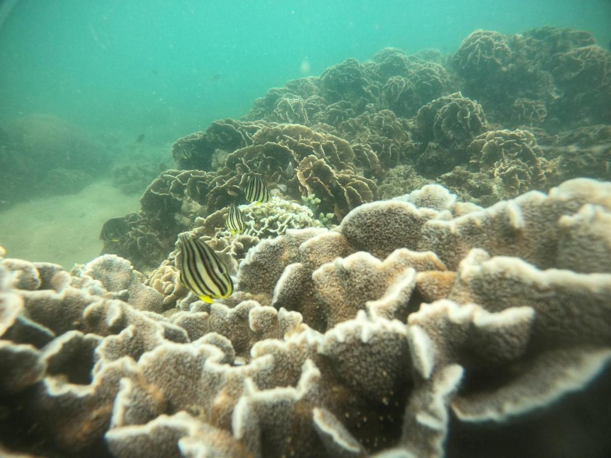 Coto Island Beach Village Homestay เดาโกโต ภายนอก รูปภาพ