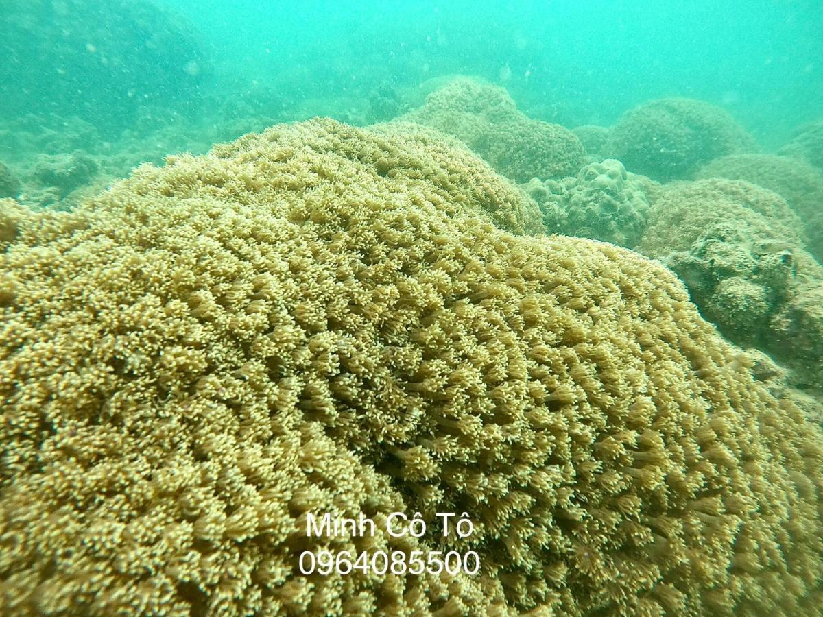 Coto Island Beach Village Homestay เดาโกโต ภายนอก รูปภาพ